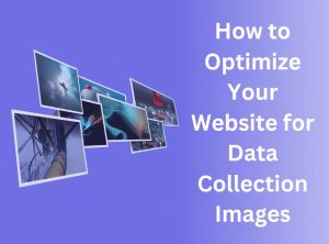 How to Optimize Your Website for Data Collection